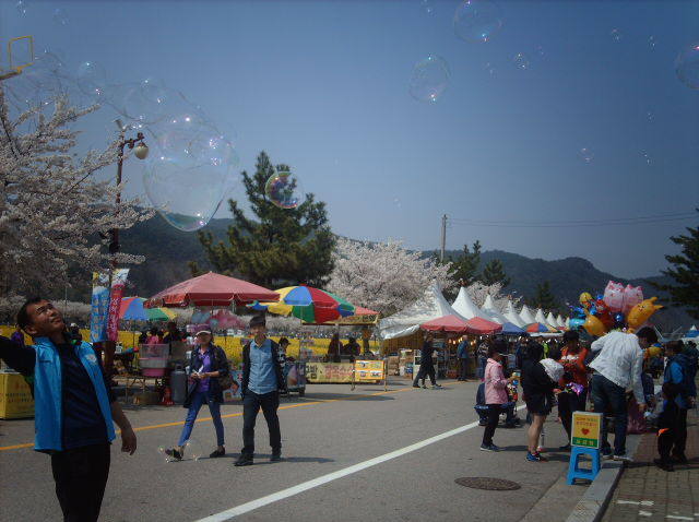 Bubbles in Samcheok